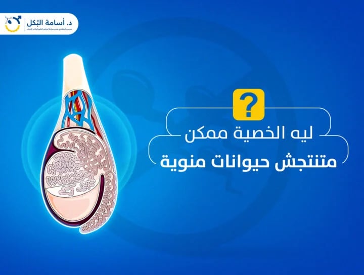 اسباب توقف الخصية عن انتاج الحيوانات المنوية