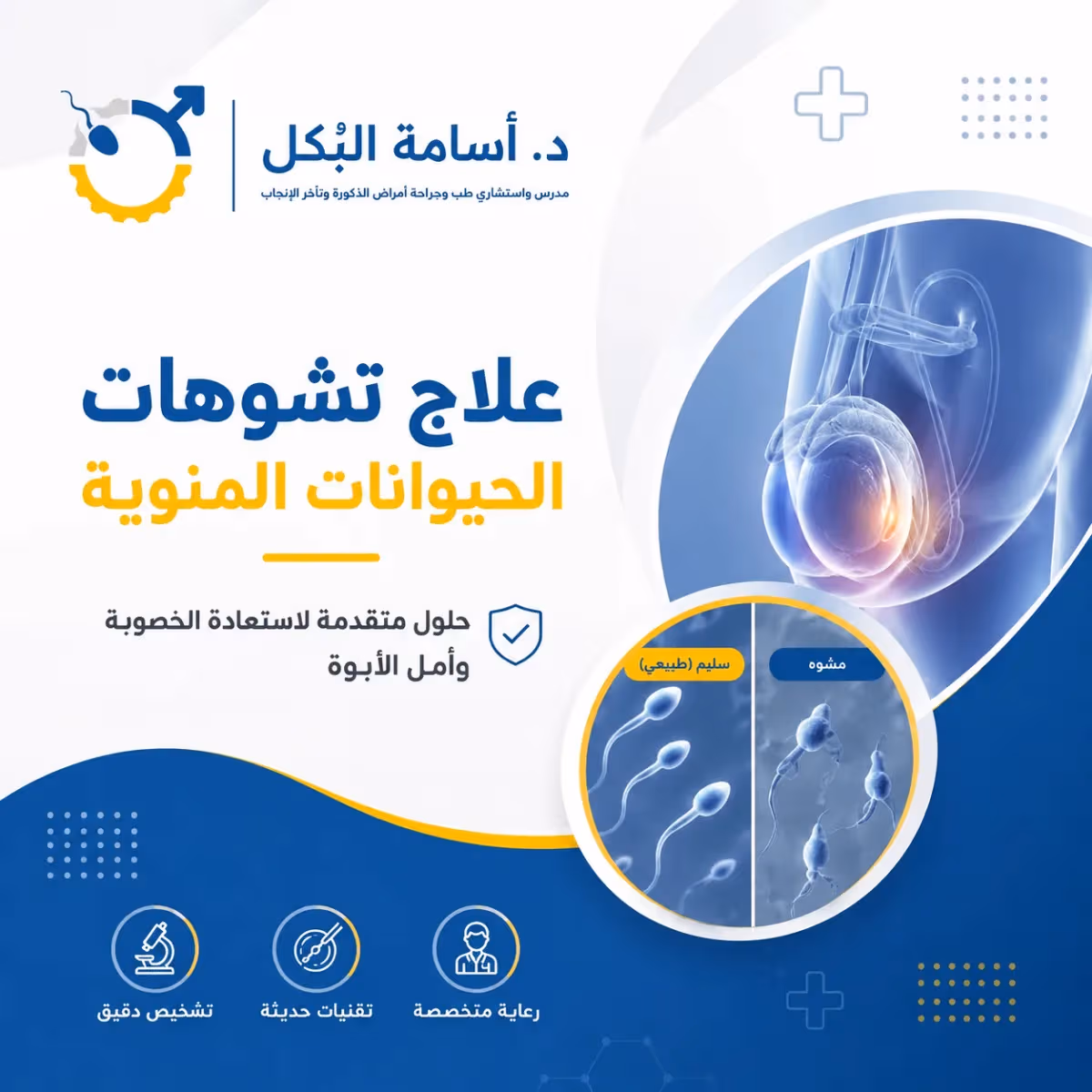 علاج تشوهات الحيوانات المنوية: هل تمنع الحمل وما هي النسبة الطبيعية؟