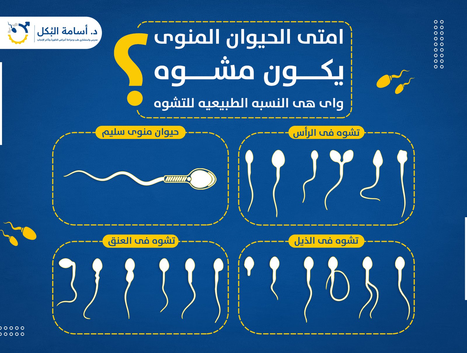 امتى الحيوان المنوى يكون مشوه ، و اى هى النسبه الطبيعيه للتشوه ؟